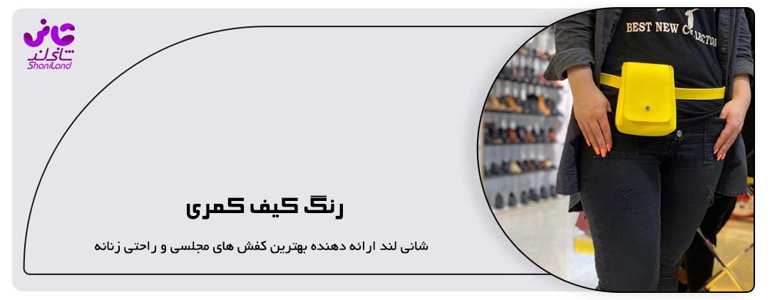 رنگ کیف کمری